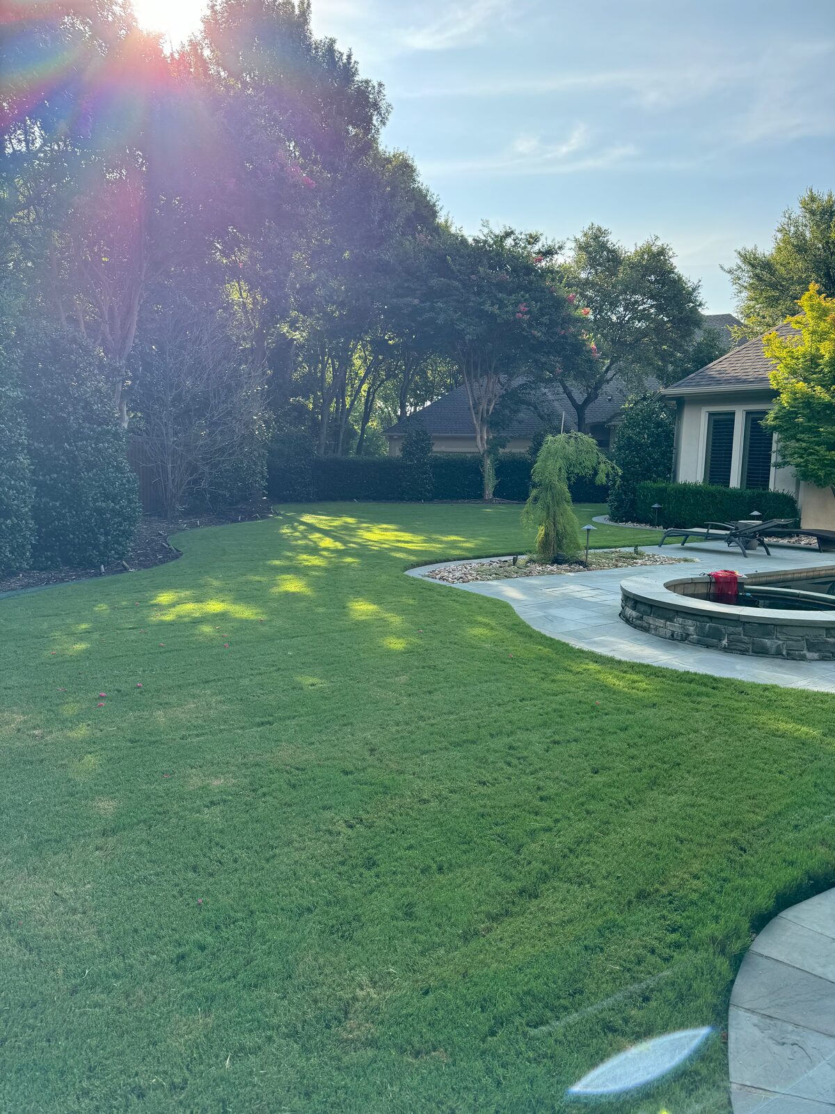 Porter's applying a professional lawn treatment in Forney, TX