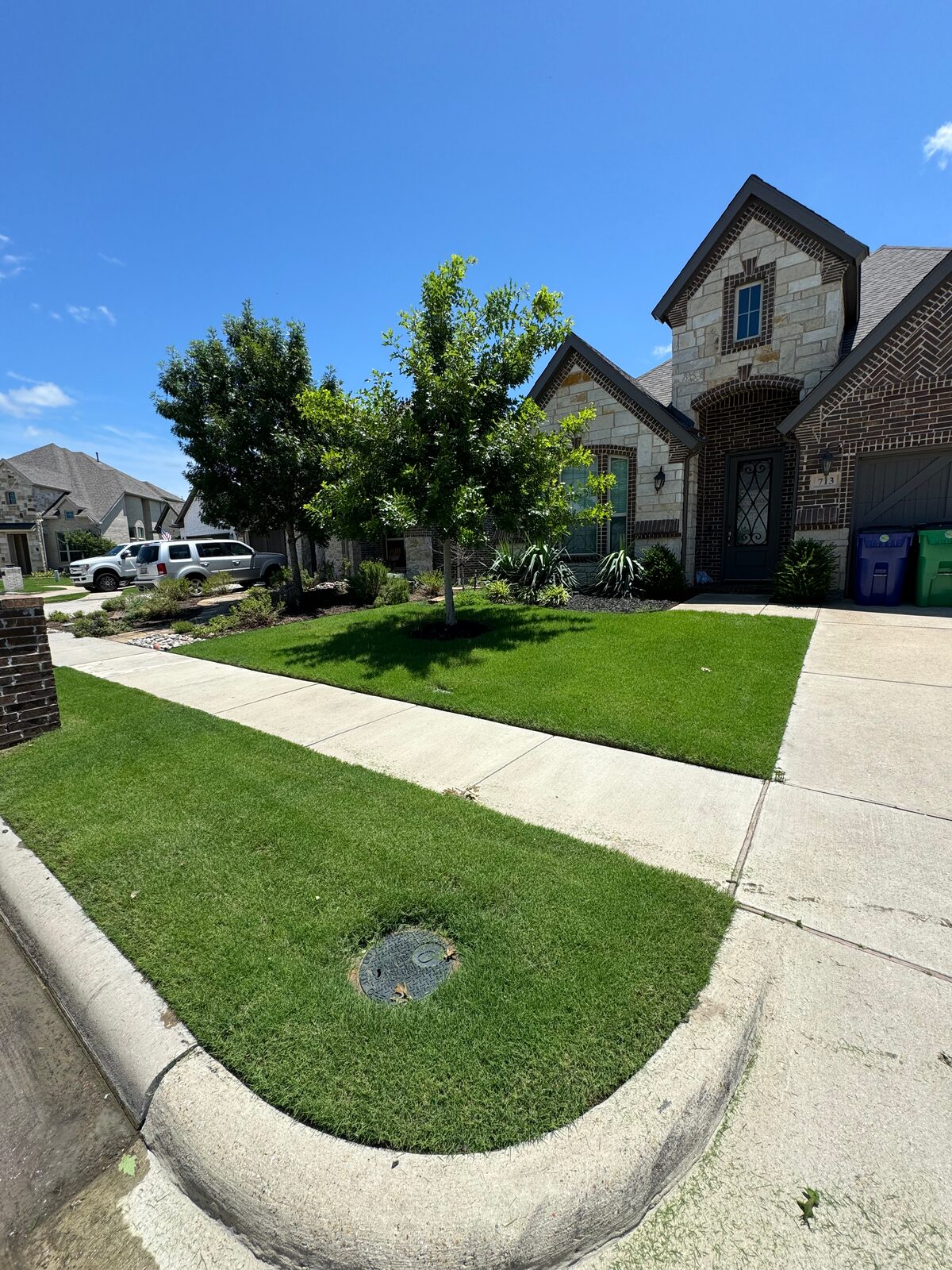 Well-maintained residential lawn on a North Texas street