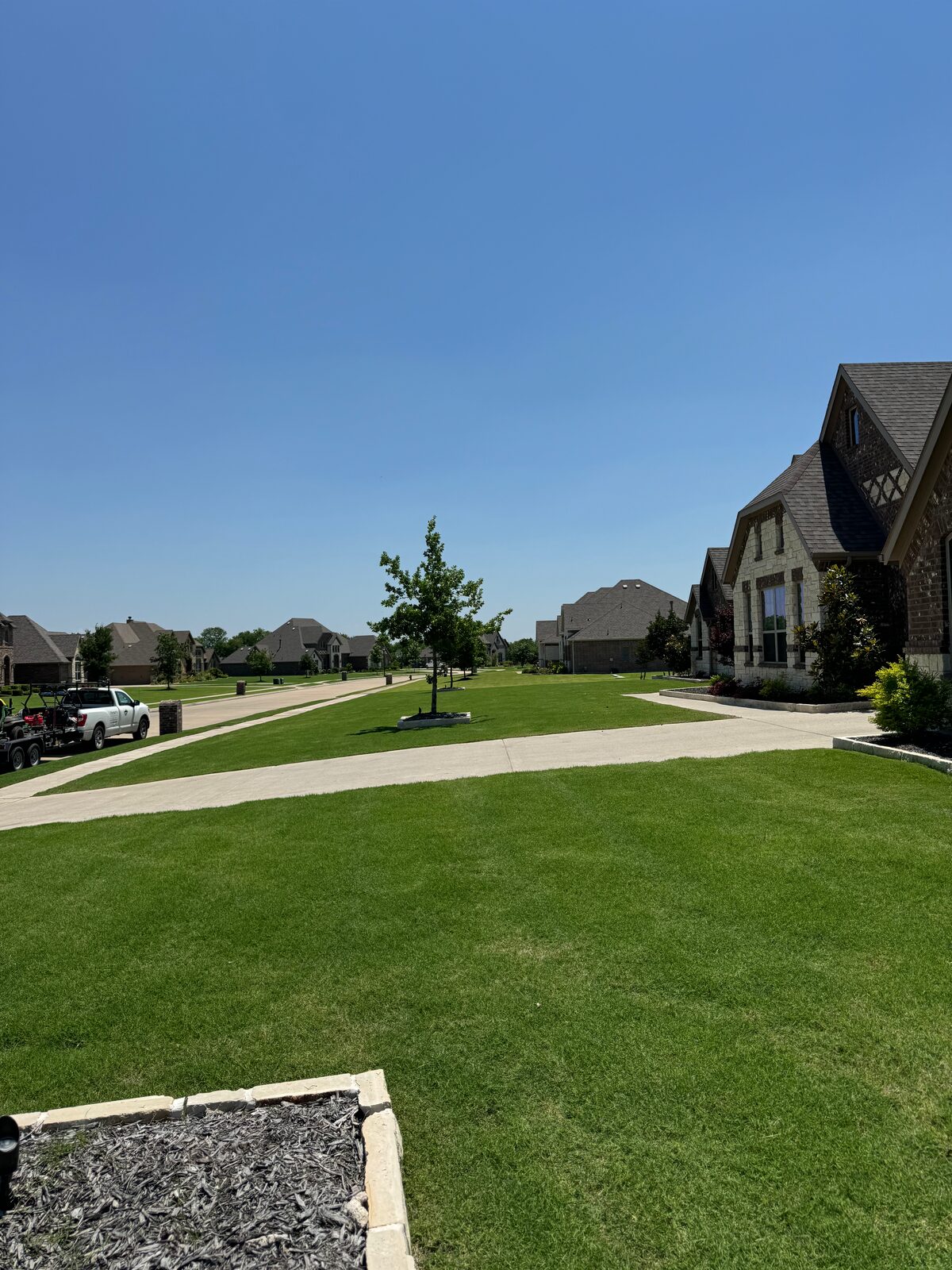 Green lawn framed by landscape beds