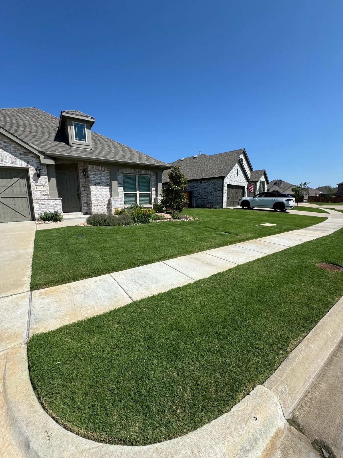 Dormant season lawn in Rockwall County, Texas