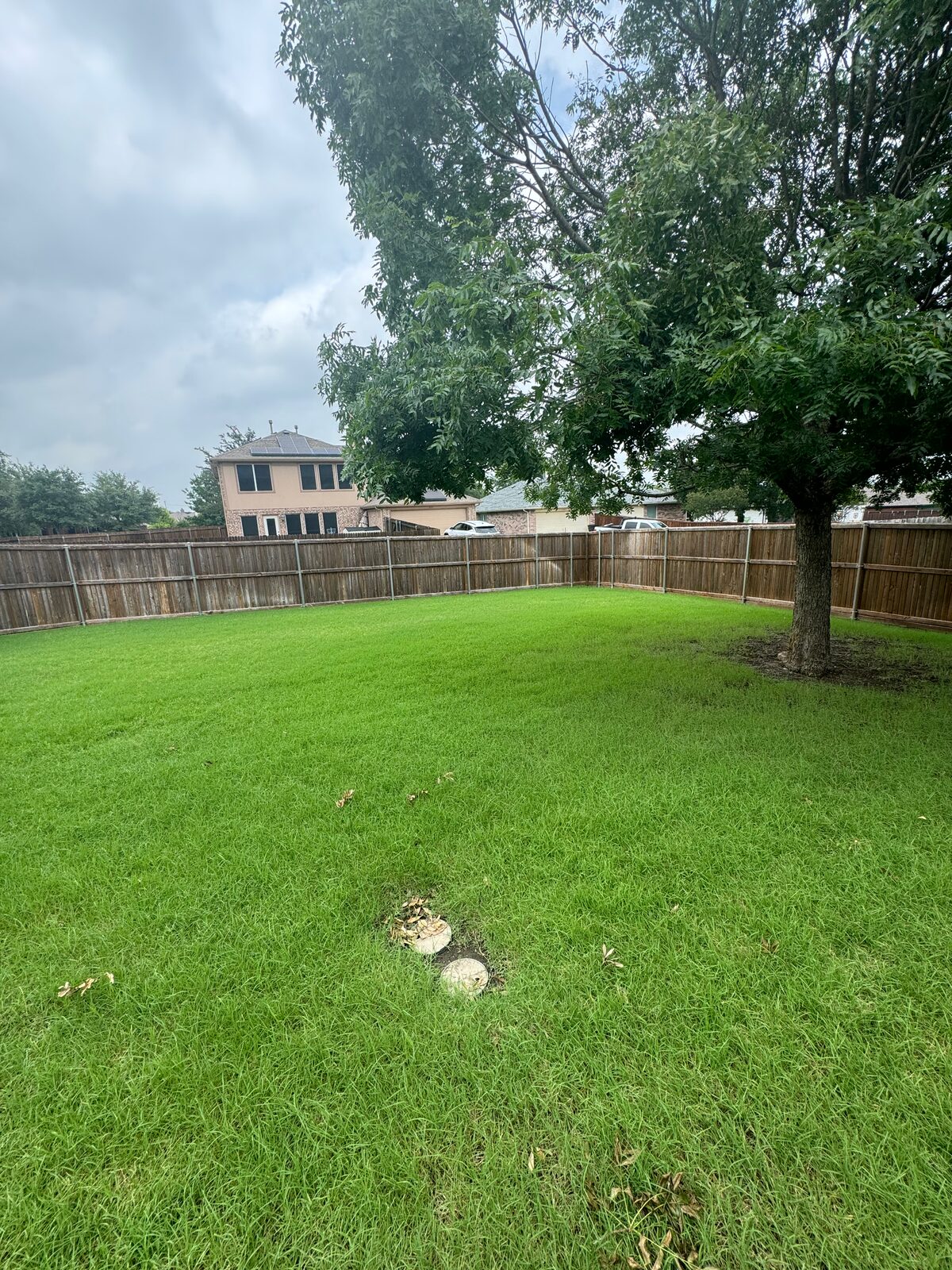 Healthy turf beside a driveway in Rockwall, Texas